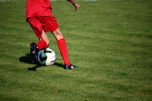 开云体育官网在线-篮球运动员心理韧性培养及心理干预体系，篮球运动员的心理训练